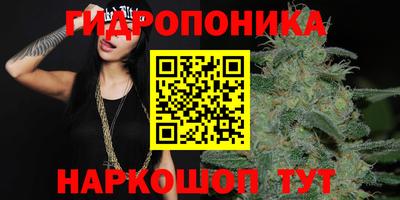 спайс Бузулук